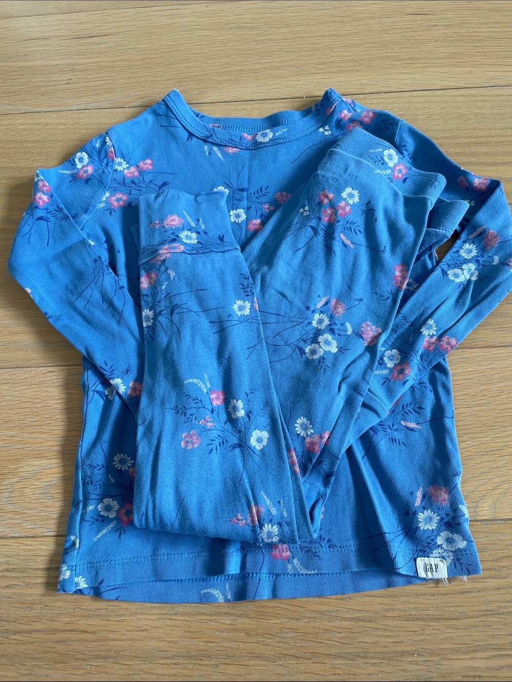 GAP Blue Floral Long Sleeve PJs Pajamas